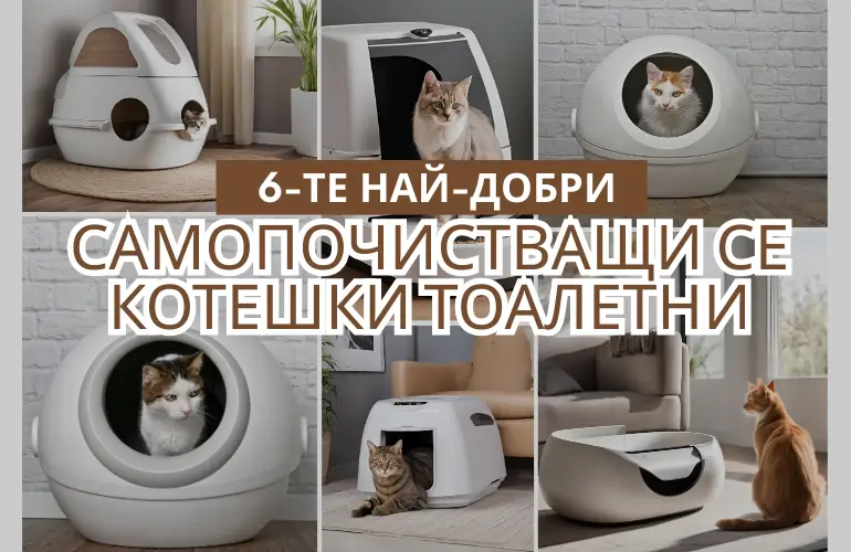 6-те Най-Добри Самопочистващи се Котешки Тоалетни
