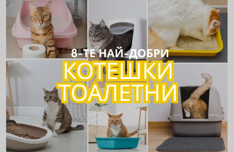 8-те Най-Добри Котешки Тоалетни