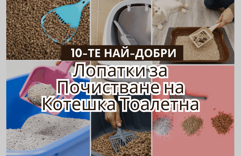 10-те Най-Добри Лопатки за Котешка Тоалетна Ръководство за Избор и Покупка