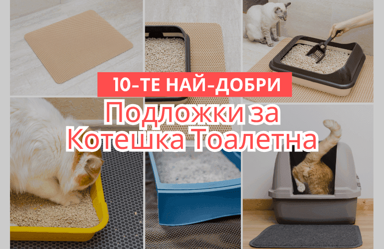 10-те Най-Добри Подложки за Котешки Тоалетни
