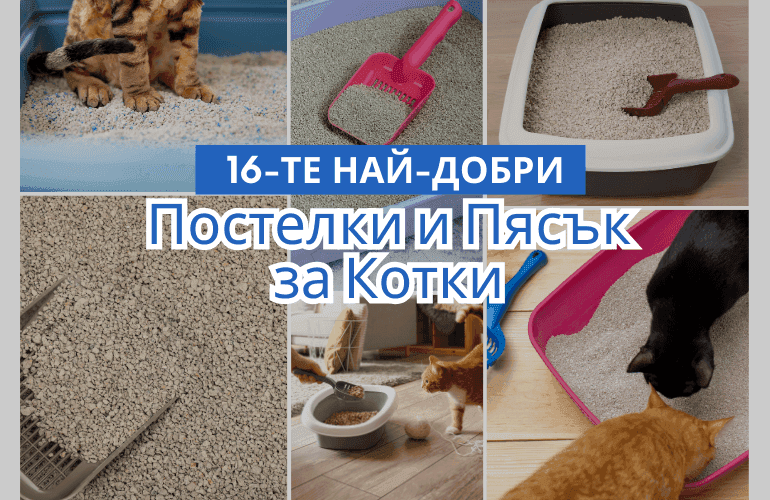 Най-Добрите 16 Вида Постелки и Пясък за Котки