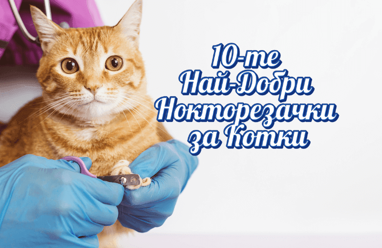 Най-Добри Нокторезачки за Котки